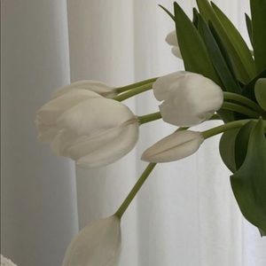 Meet your Posher, Aleisha